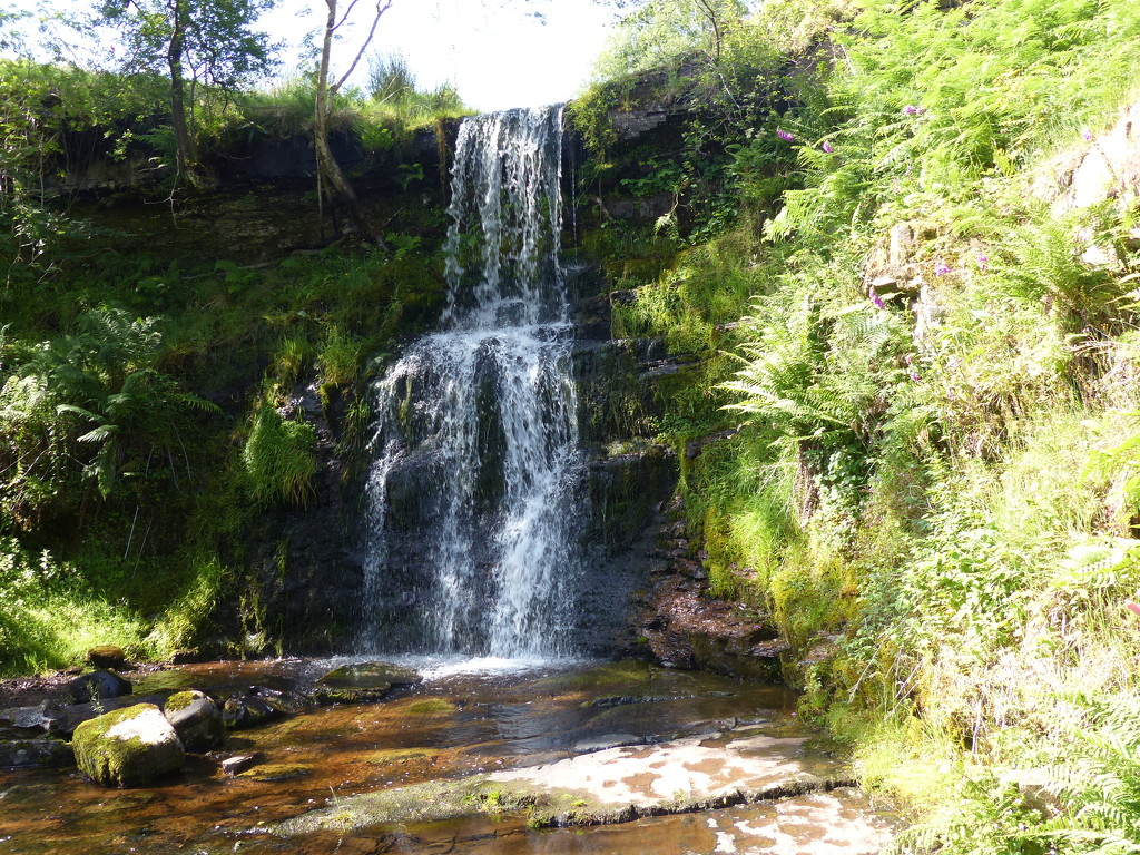  Waterfall, Brecon Beacons National Park by susiemc