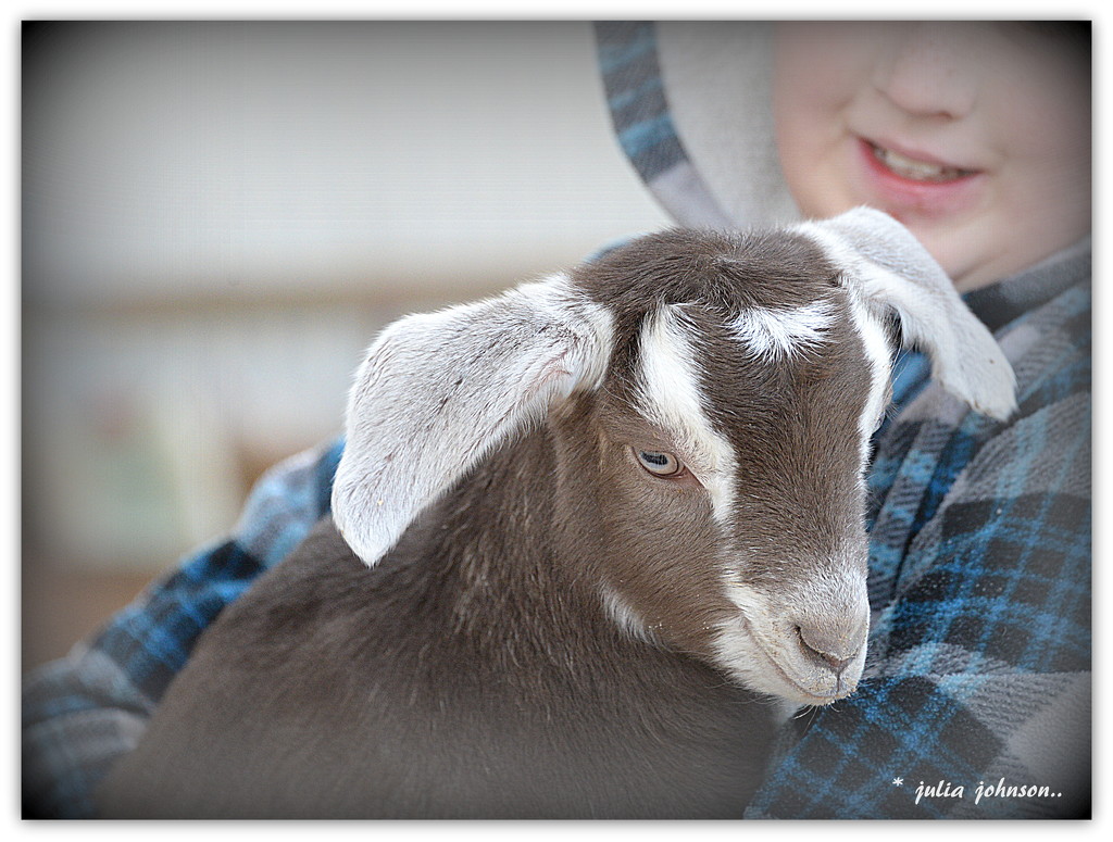 Boy and his Goat... by julzmaioro