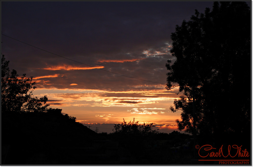 Sunset by carolmw