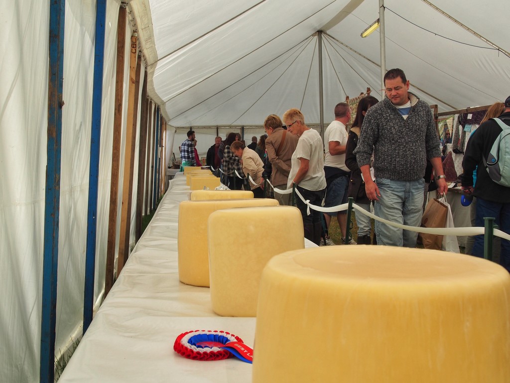 Grate Cheese at the Great Eccleston Show by happypat