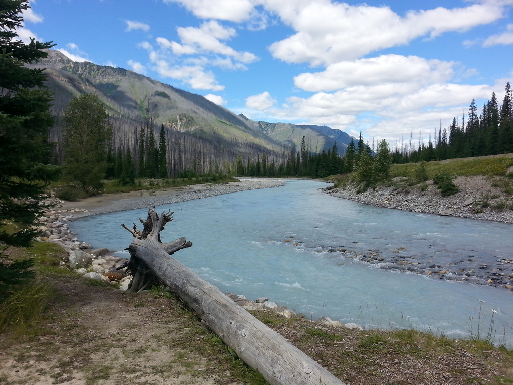 Alberta Trip - Day 8 by jawere