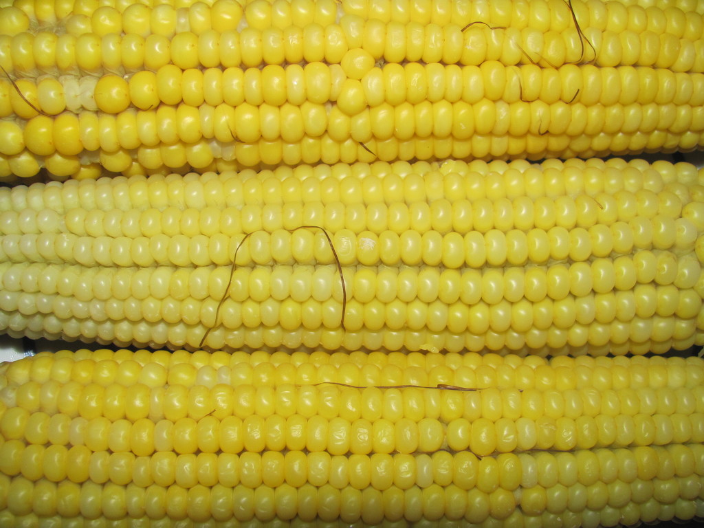Corn by ctst
