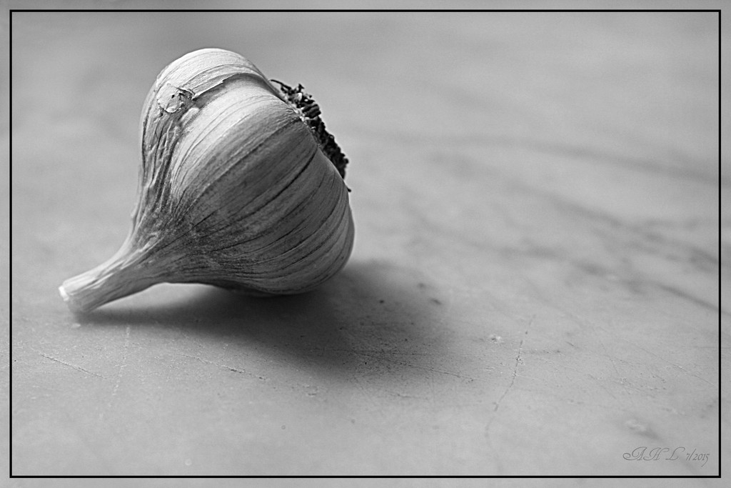Garlic Beauty by olivetreeann