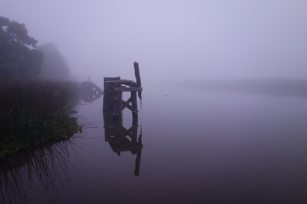 Foggy morning on the river by soboy5