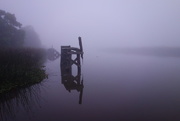 20th Jul 2015 - Foggy morning on the river