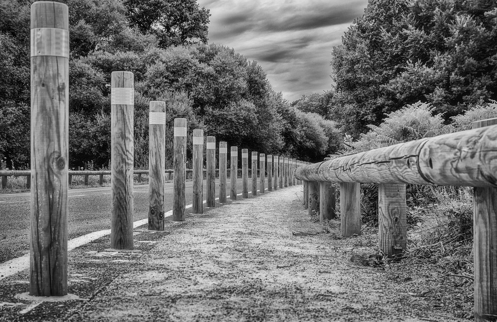 Posts and Rails by vignouse