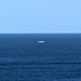 Can you see the Whales? by leestevo