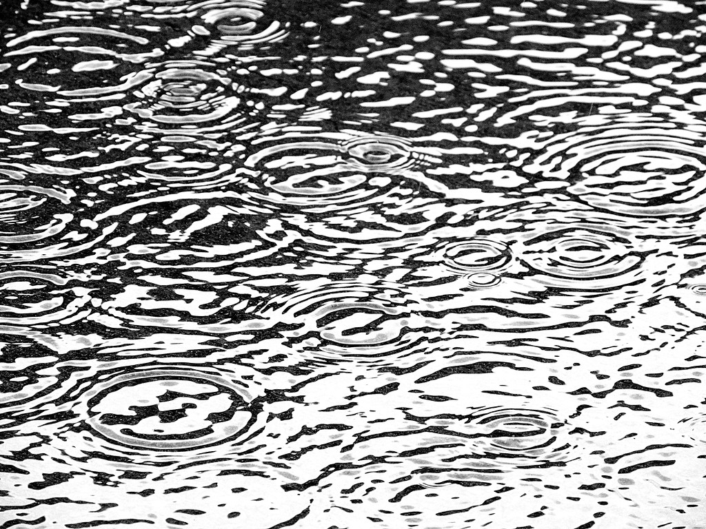 Abstract puddle by homeschoolmom