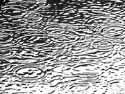 19th Jul 2015 - Abstract puddle