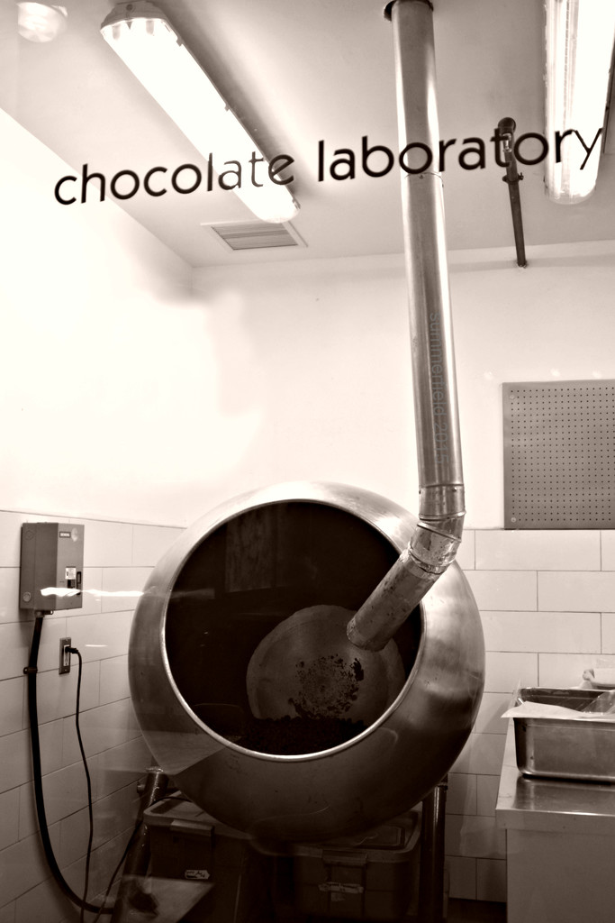 chocolate laboratory by summerfield