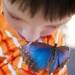 More Butterflies by tina_mac