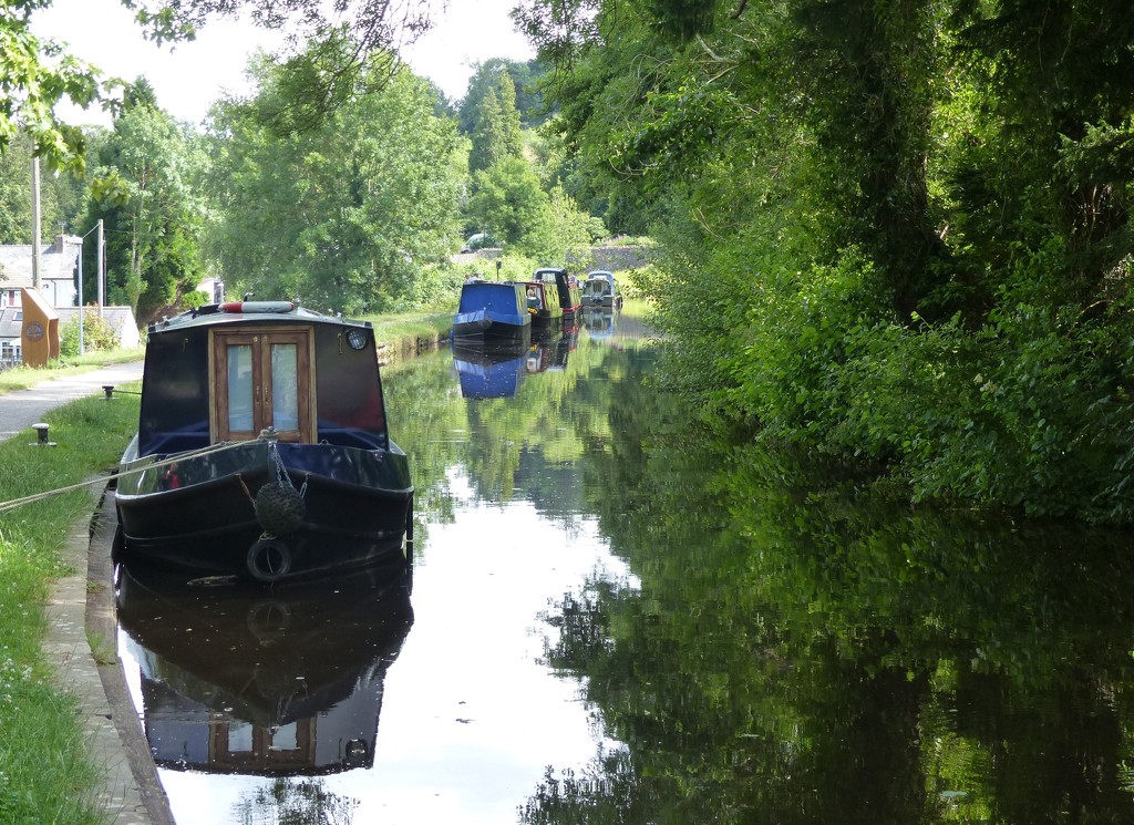 The Monmouthshire and Brecon Canal by susiemc