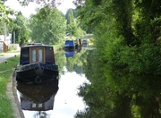 19th Jul 2015 - The Monmouthshire and Brecon Canal