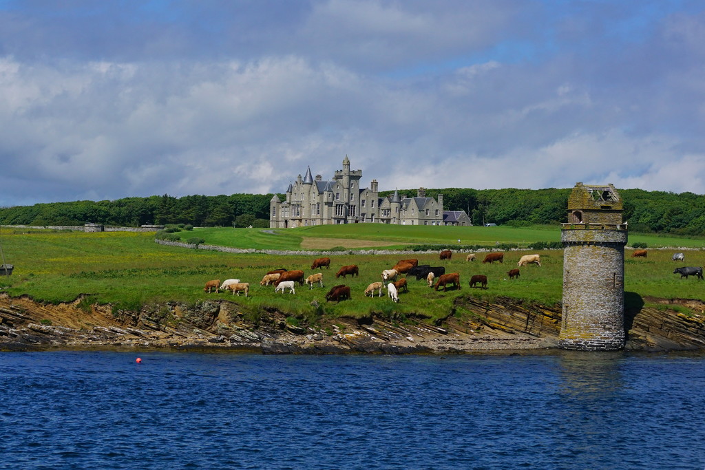 BALFOUR CASTLE, SHAPINSAY by markp
