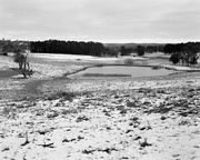 22nd Jul 2015 - Wintry paddocks