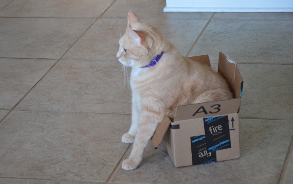 Cat in a box by kdrinkie