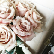 20th Jul 2015 - Blush-Colored Roses For Our Guests