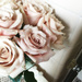 Blush-Colored Roses For Our Guests by yogiw