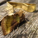 Burnished brass by steveandkerry