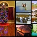 My Favorite Reflections in a Collage by homeschoolmom