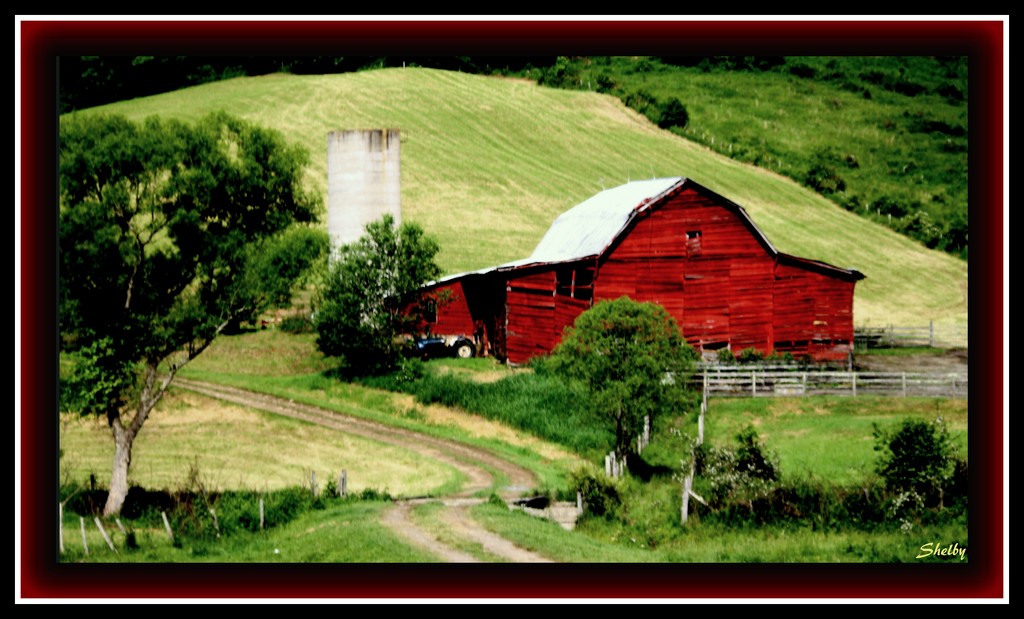 All Barns Should Be Red by vernabeth