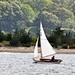 Another sailboat for my album............. by sailingmusic