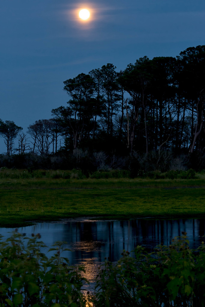 Full moon at Chincoteague, critique requested by shesnapped