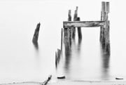 20th Jul 2015 - Pilings at Cove Beach, critique requested