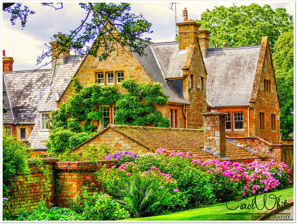 Coton Manor by carolmw