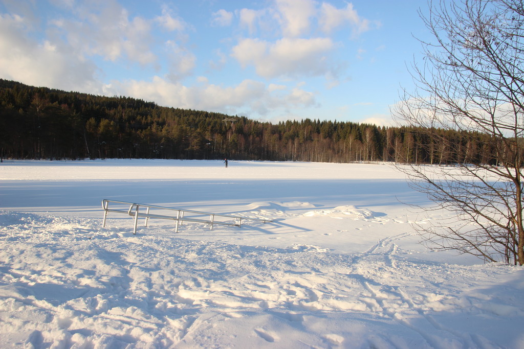 The frozen sognsvann lake by belucha
