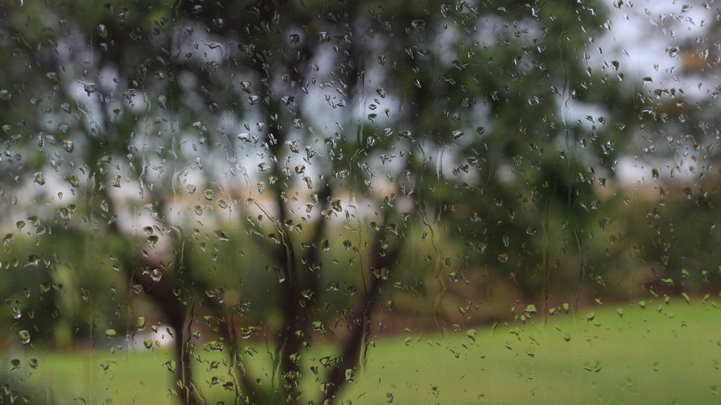 Rained in by kiwinanna
