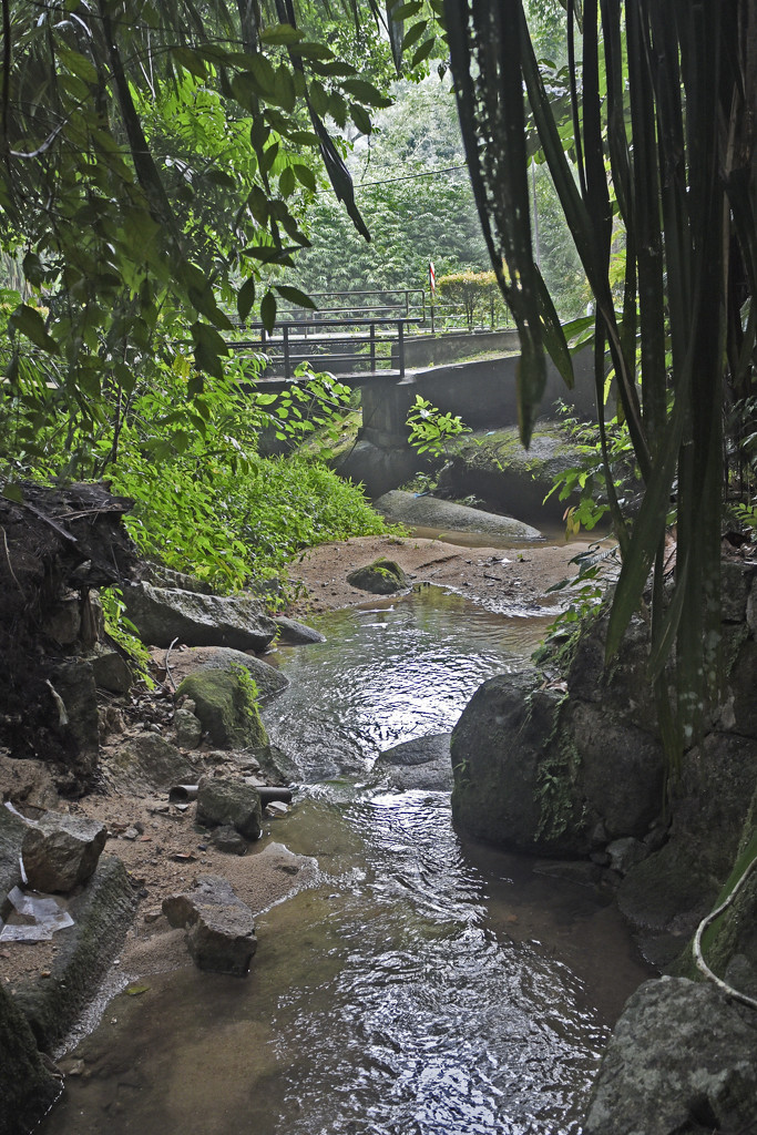 Mountain stream, Kebun Bungah by ianjb21