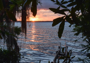 26th Jul 2015 - Different Perspective of Sunday Sunset on the St Johns River