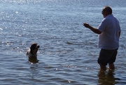 26th Jul 2015 - a lake game of fetch