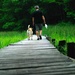 A man, his dog and a nature hike! by dianen