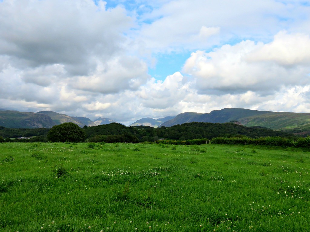 View from a field by countrylassie