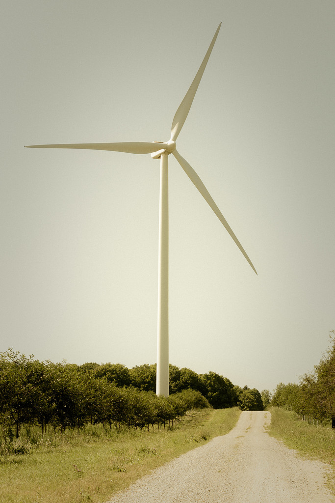wind power! by jackies365