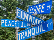 19th Jul 2015 - Calming Signs on Elmwood St 