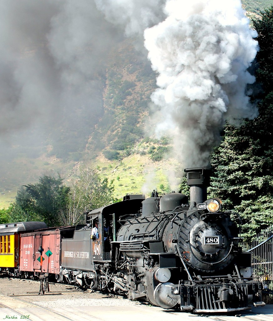 Durango and Silverton Railroad by harbie