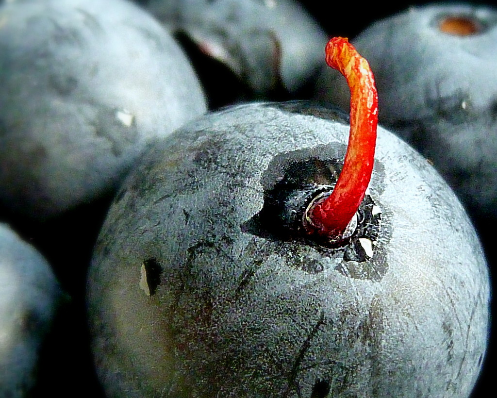 Blueberries that are out of this world! by calm