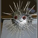 Alien porcupine? by madamelucy