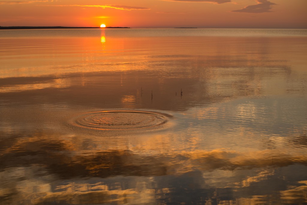 A Rock Creates Ripples at Sunset by taffy