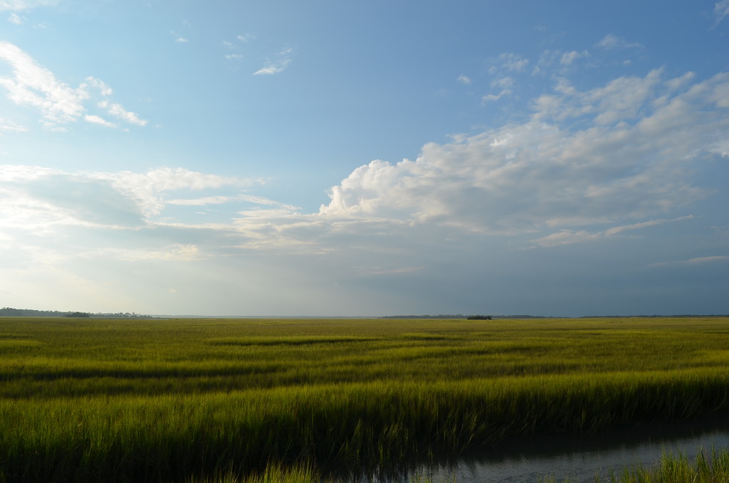 Salt marsh and sky, Folly Island, South Carolina by congaree