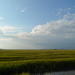 Salt marsh and sky, Folly Island, South Carolina by congaree