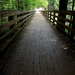 The path is straight an narrow.... by homeschoolmom