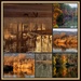 Reflections Collage by milaniet