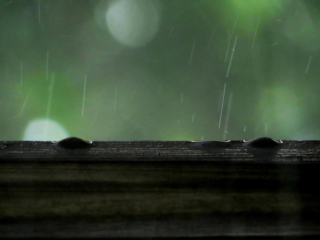 Summer Rain by grammyn