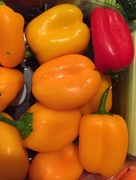 28th Jul 2015 - peppers
