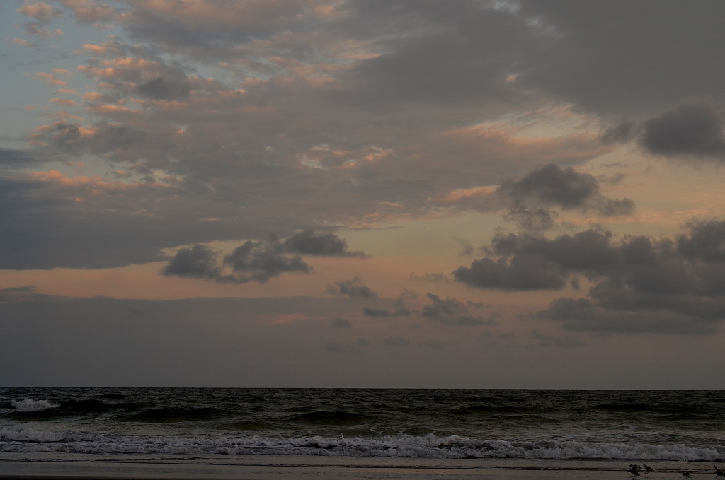 Pastel skies over the ocean, Folly Beach, SC by congaree