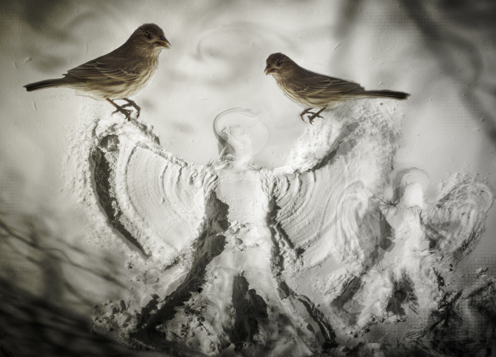 Snow Angel w Birds by jbritt